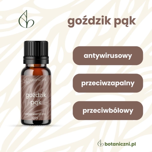 Goździk pąk olejek eteryczny 10 ml