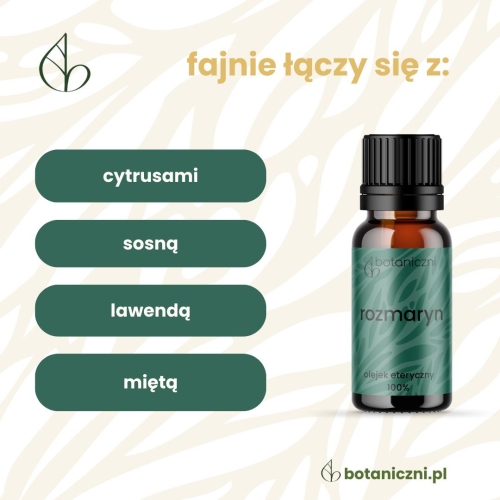 Rozmaryn olejek eteryczny 10 ml