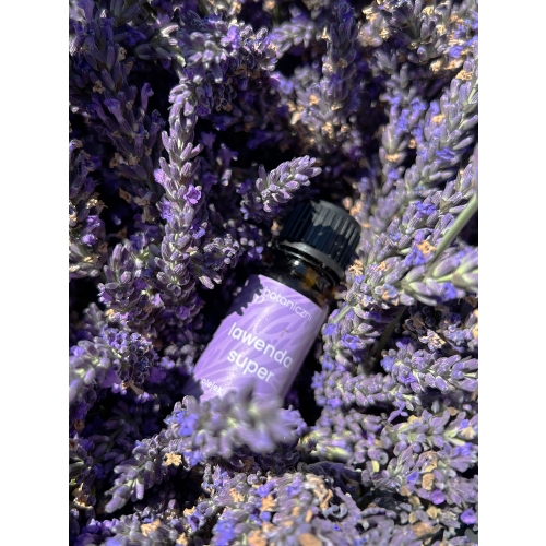 Lawenda super olejek eteryczny 10 ml